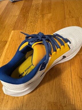 Used North Carolina A&T Aggies Nike Pegasus 40 Running Shoes White sz 9